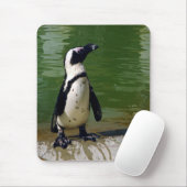 Afrikanischer Pinguin Mousepad (Mit Mouse)