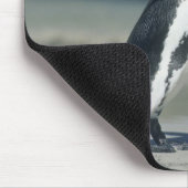 Afrikanischer Pinguin Mousepad (Ecke)