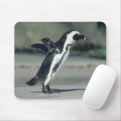 Afrikanischer Pinguin Mousepad (Mit Mouse)