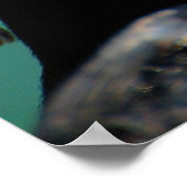 Afrikanischer Pinguin Poster (Ecke)