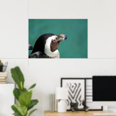 Afrikanischer Pinguin Poster (Heimbüro)