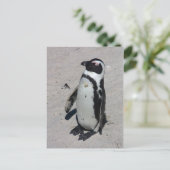 Afrikanischer Pinguin - Postkarte (Stehend Vorderseite)