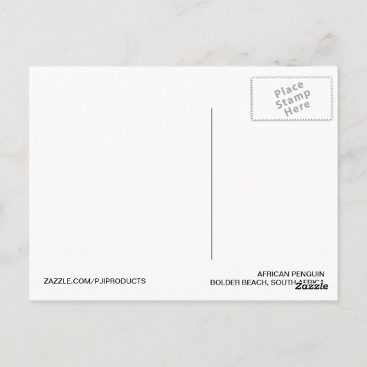 Afrikanischer Pinguin - Postkarte (Rückseite)