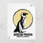 afrikanischer Pinguin Postkarte (Vorne/Hinten)