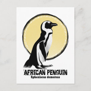 afrikanischer Pinguin Postkarte