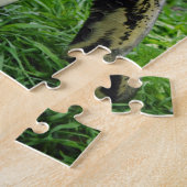 Afrikanischer Pinguin Puzzle (Seite)