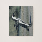 Afrikanischer Pinguin Puzzle (Vertikal)