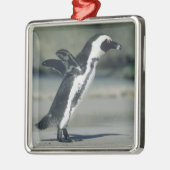 Afrikanischer Pinguin Silbernes Ornament (Links)