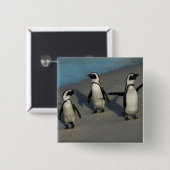 Afrikanischer Pinguine| Spheniscus Demersus Button (Vorne & Hinten)