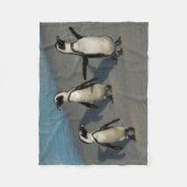 Afrikanischer Pinguine| Spheniscus Demersus Fleecedecke (Vorderseite)