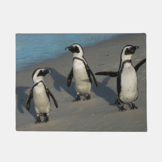 Afrikanischer Pinguine| Spheniscus Demersus Fußmatte (Vorderseite)