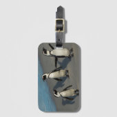 Afrikanischer Pinguine| Spheniscus Demersus Gepäckanhänger (Vorderseite Vertikal)