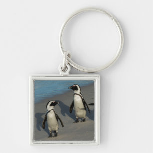 Afrikanischer Pinguine  Spheniscus Demersus Schlüsselanhänger