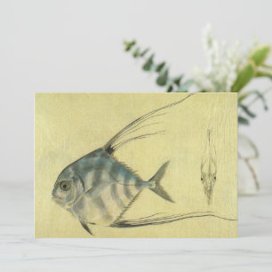 Afrikanischer Pompano-Fisch, Vintage Fadenflossen-