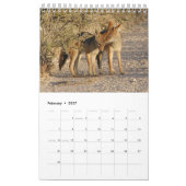 Afrikanischer Safari KALEIDOSKOP Kalender 2013 (Feb 2027)