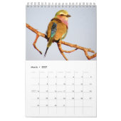 Afrikanischer Safari KALEIDOSKOP Kalender 2013 (Mär 2027)