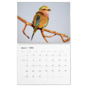 Afrikanischer Safari KALEIDOSKOP Kalender 2014 (Mär 2026)