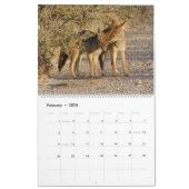 Afrikanischer Safari KALEIDOSKOP Kalender 2014 (Feb 2026)