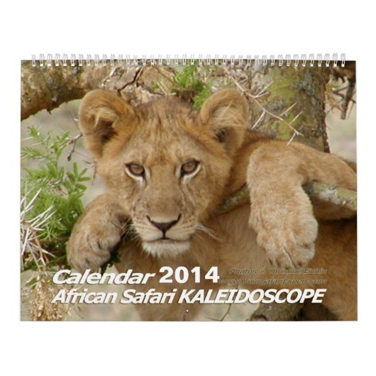 Afrikanischer Safari KALEIDOSKOP Kalender 2014 (Titelbild)