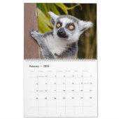 Afrikanischer Safari-Kalender Kalender (Feb 2026)