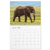 Afrikanischer Safari-Kalender Kalender (Jan 2026)