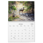 Afrikanischer Safari-Kalender Kalender (Jan 2026)
