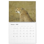 AFRIKANISCHER SAFARI-LIEBLINGS-KALENDER KALENDER (Feb 2026)