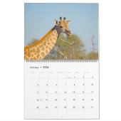 AFRIKANISCHER SAFARI-LIEBLINGS-KALENDER KALENDER (Jan 2026)