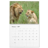 Afrikanischer Safari WILD LEBENDE TIERE Kalender (Feb 2027)