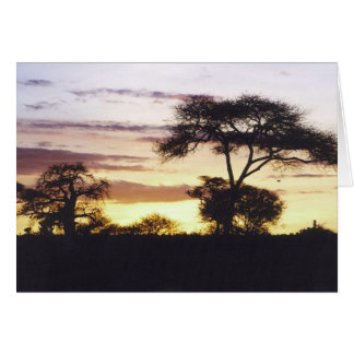 Afrikanischer Sonnenuntergang