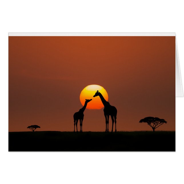 Afrikanischer Sonnenuntergang (Vorderseite (Horizontal))
