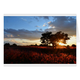 Afrikanischer Sonnenuntergang