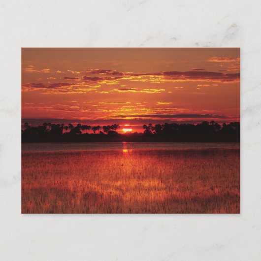 Afrikanischer Sonnenuntergang Botswana Postkarten (Vorderseite)