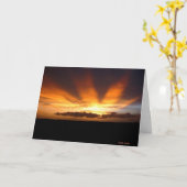 Afrikanischer Sonnenuntergang Karte (Gelbe Blume)