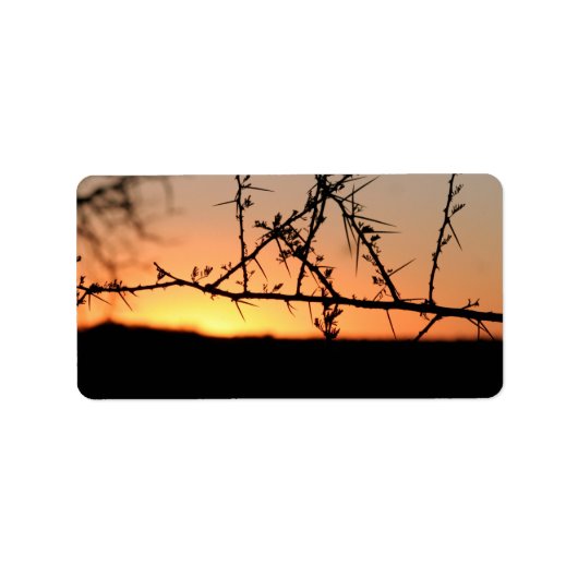 Afrikanischer Sonnenuntergang mit dorniger Acacia- Adressaufkleber (Vorne)