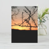 Afrikanischer Sonnenuntergang mit dorniger Acacia- Dankeskarte (Stehend Vorderseite)