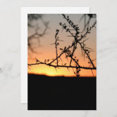 Afrikanischer Sonnenuntergang mit dorniger Acacia- Dankeskarte (Vorne/Hinten)