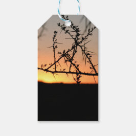 Afrikanischer Sonnenuntergang mit dorniger Acacia- Geschenkanhänger