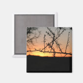 Afrikanischer Sonnenuntergang mit dorniger Acacia- Magnet (Vorderseite/Rückseite)
