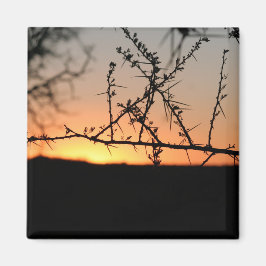 Afrikanischer Sonnenuntergang mit dorniger Acacia- Magnet
