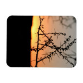 Afrikanischer Sonnenuntergang mit dorniger Acacia- Magnet (Horizontal)