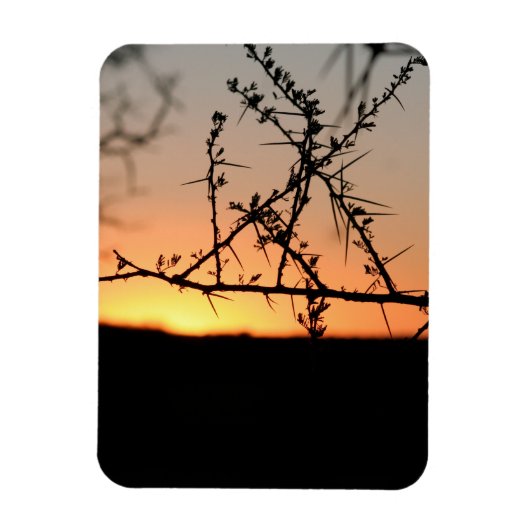 Afrikanischer Sonnenuntergang mit dorniger Acacia- Magnet (Vertikal)