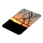 Afrikanischer Sonnenuntergang mit dorniger Acacia- Magnet (Linke Seite)