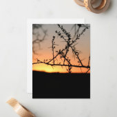 Afrikanischer Sonnenuntergang mit dorniger Acacia- Mitteilungskarte (Vorderseite/Rückseite Beispiel)