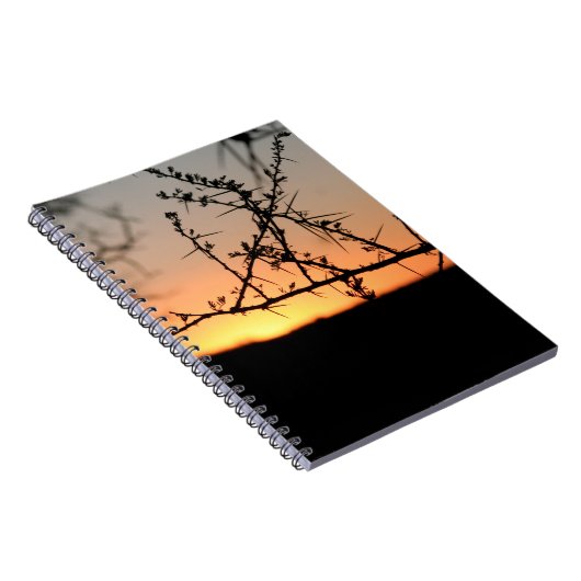 Afrikanischer Sonnenuntergang mit dorniger Acacia- Notizblock (Rechte Seite)
