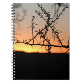 Afrikanischer Sonnenuntergang mit dorniger Acacia- Notizblock (Vorderseite)