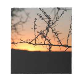 Afrikanischer Sonnenuntergang mit dorniger Acacia- Notizblock