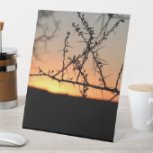 Afrikanischer Sonnenuntergang mit dorniger Acacia- Sockelschild (In Situ)