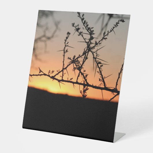 Afrikanischer Sonnenuntergang mit dorniger Acacia- Sockelschild (Vorderseite)
