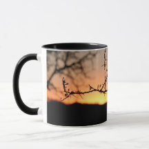 Afrikanischer Sonnenuntergang mit dorniger Acacia-